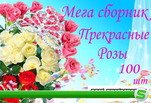 Мега сборник клипартов - Роза королева цветов
