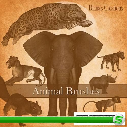 Animal Brushes