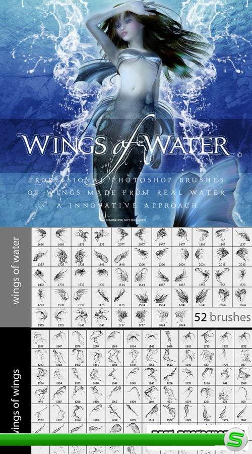Wings of water