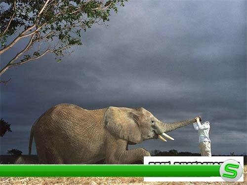 Детский юморной шаблон - помучать слона