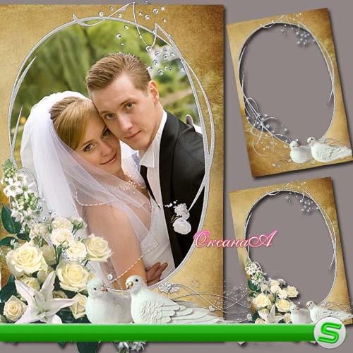 Свадебная рамка для фотошоп - Голубки  