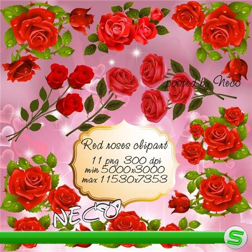 Clipart red roses - Клипарт красные розы PNG