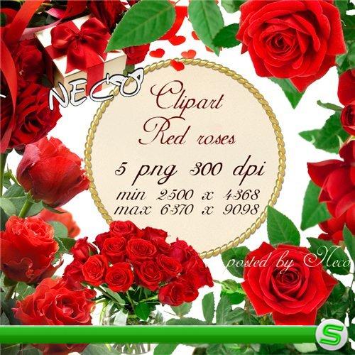 Clipart red roses 2 - Клипарт красные розы 2 PNG 
