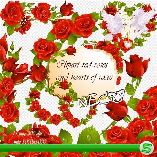 Clipart red roses - Клипарт красные розы и сердечки из роз PNG 