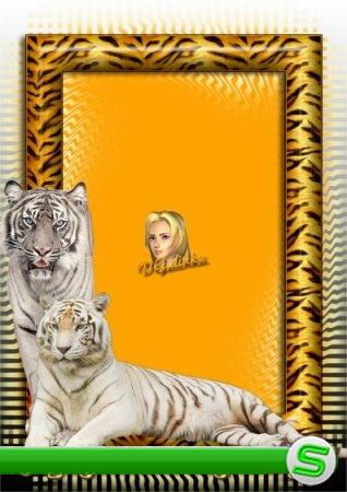Рамка для фотошоп - Я родился в год тигра