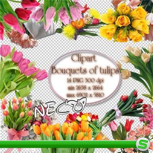 Bouquets of tulips clipart - Букеты из тюльпанов клипарт PNG