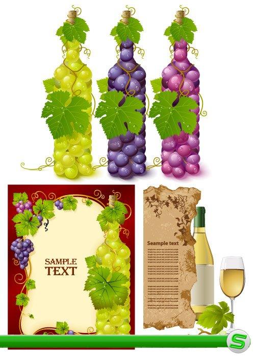 Виноградные бутылки и этикетки (Вектор)