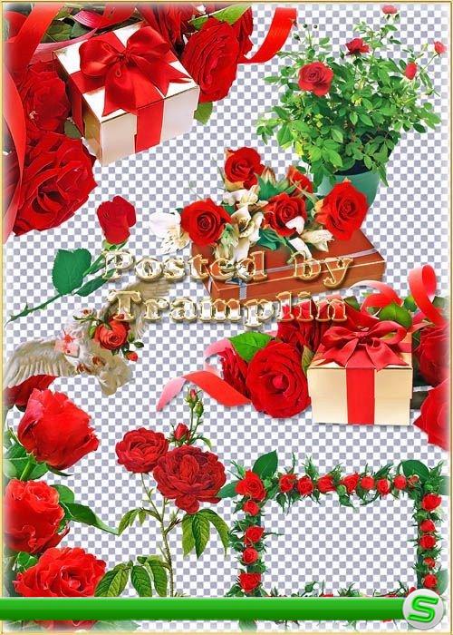 Клипарт – Красные розы в подарках с бантами на прозрачном фоне