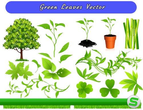 Зеленые травы , дерево, листья (Вектор)