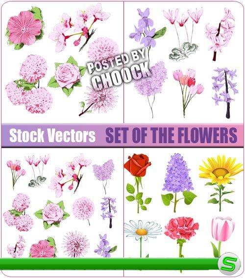 Коллекция цветов - векторный клипарт
