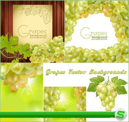 Фоны с зелеными виноградами (Вектор)