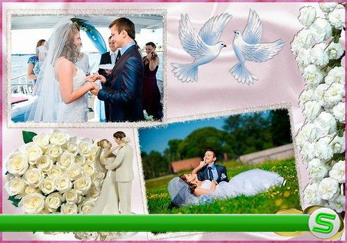 Свадебная рамка - Голуби и розы