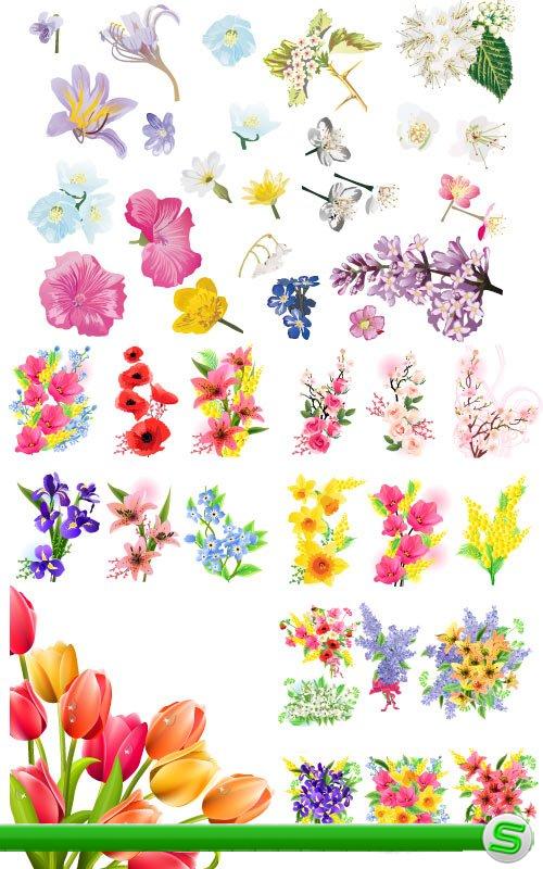 Коллекция весенние букеты цветов (Вектор)