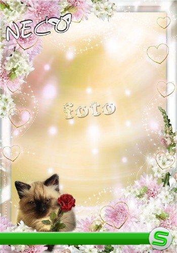 Романтическая рамка с влюблённым котом - Я дарю тебе цветок