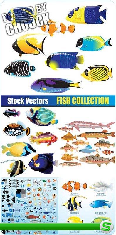 Коллекция рыб - векторный клипарт