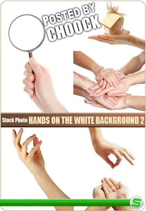Руки на белом фоне 2 - растровый клипарт