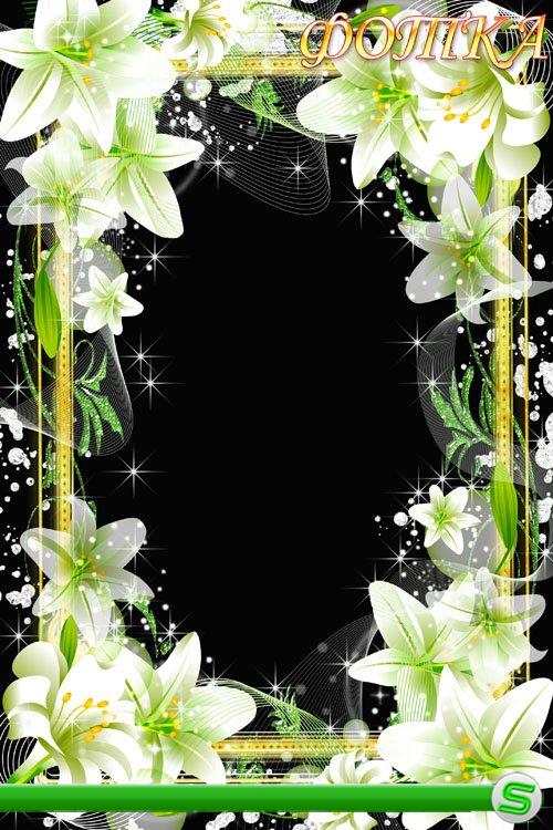 Цветочная рамка для фотошоп - Нежные белые лилии