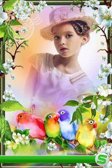  Детская рамка для photoshop - Красивые попугайчики
