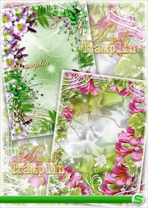 Две Цветочные рамки для фото – Лилии Прекрасные цветы