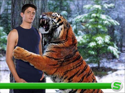  Рамка psd для фотошоп - тигр обнимает вас 