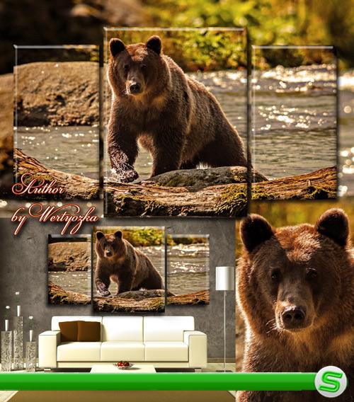 Триптих в psd формате - Медведь на речке 