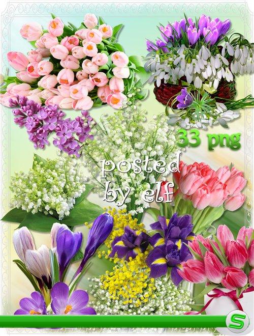  Весенние цветы - подснежники, крокусы, тюльпаны, мимоза, сирень на прозрачном фоне