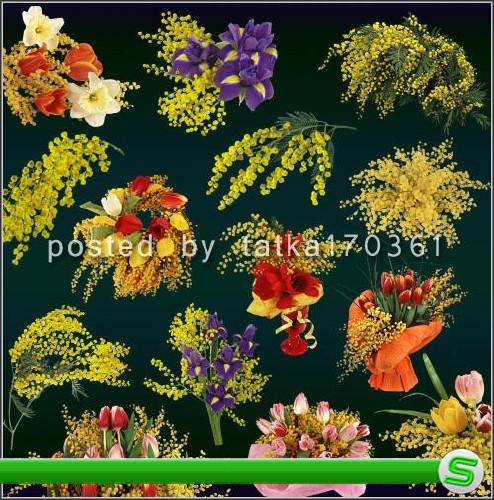 Цветочный клипарт для фотошопа - Мимоза, ветки и букеты с мимозой