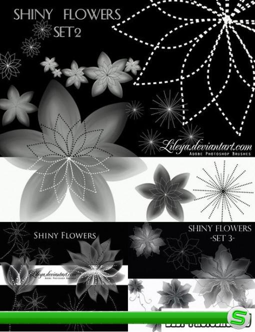 Shiny Flowers - Three Set Brushes