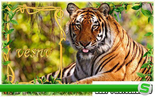 Рамка для фото – мой ласковый тигр 2
