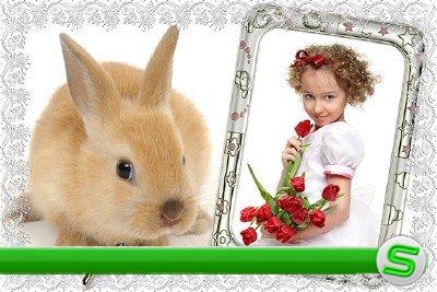 Рамка для фотошопа с кроликом