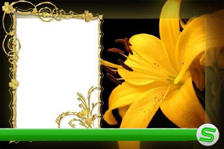 Рамка для фотошопа Золотая Лилия