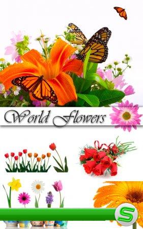 World Flowers