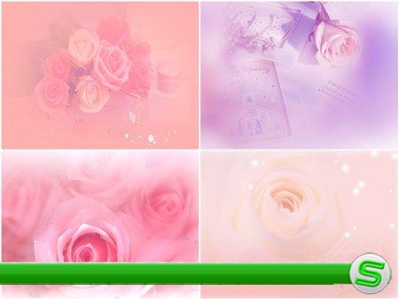 Красивые PSD фоны для фотошопа с розами