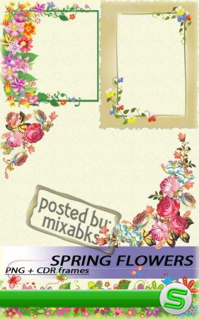 Весенние цветочные рамки | Spring flower frames (PNG)