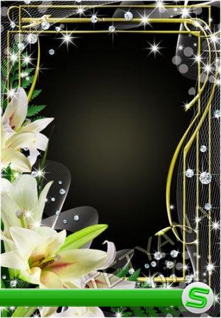 Цветочная рамка для фотошоп - Нежность белых лилий