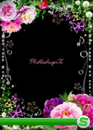 Цветочная рамка для Photoshop с яркими пионами и зеленью