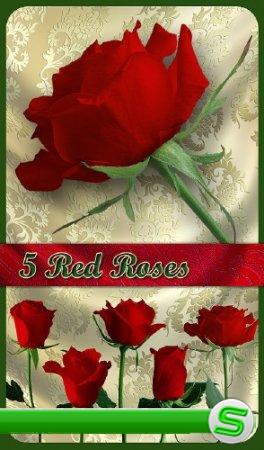 PNG Клипарт - Прекрасные красные розы