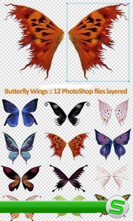 Крылья бабочек PSD формата для фотошоп