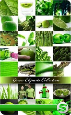 Коллекция клипартов в зеленом стиле