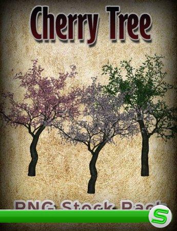 Cherry Tree PNG Stock Pack