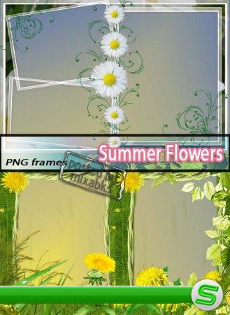 Летние Цветы | Summer Flowers (PNG frames)