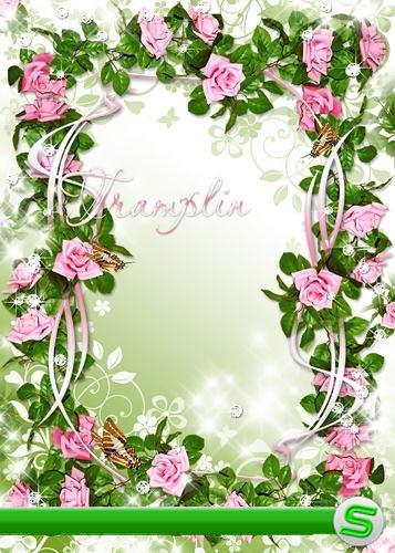 Рамка для фото – В розовый сад, в зеленый сон