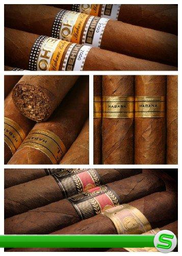 Кубинские сигары - растровый клипарт | Cuban Cigars