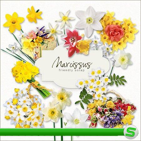 Скрап-набор - Нарциссы