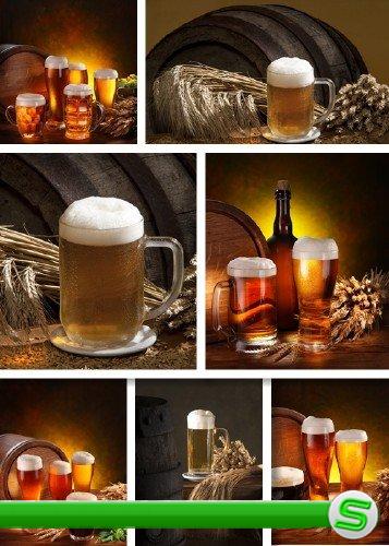 Пиво и пшеница - растровый клипарт | Beer and wheat