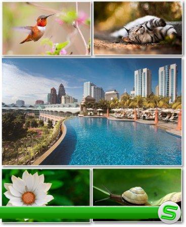 Best HD Wallpapers Pack №335