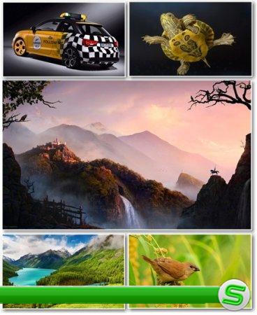Best HD Wallpapers Pack №336