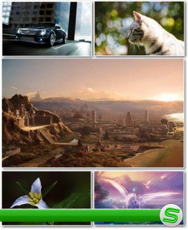 Best HD Wallpapers Pack №337