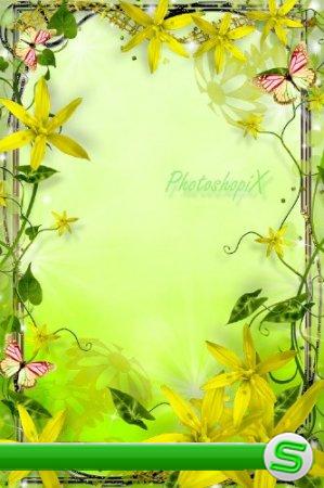 Рамка для Photoshop с желтыми цветами – Солнечное пробуждение