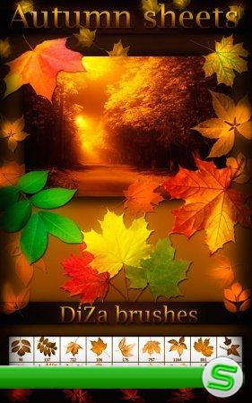 Autumn sheets brushes 